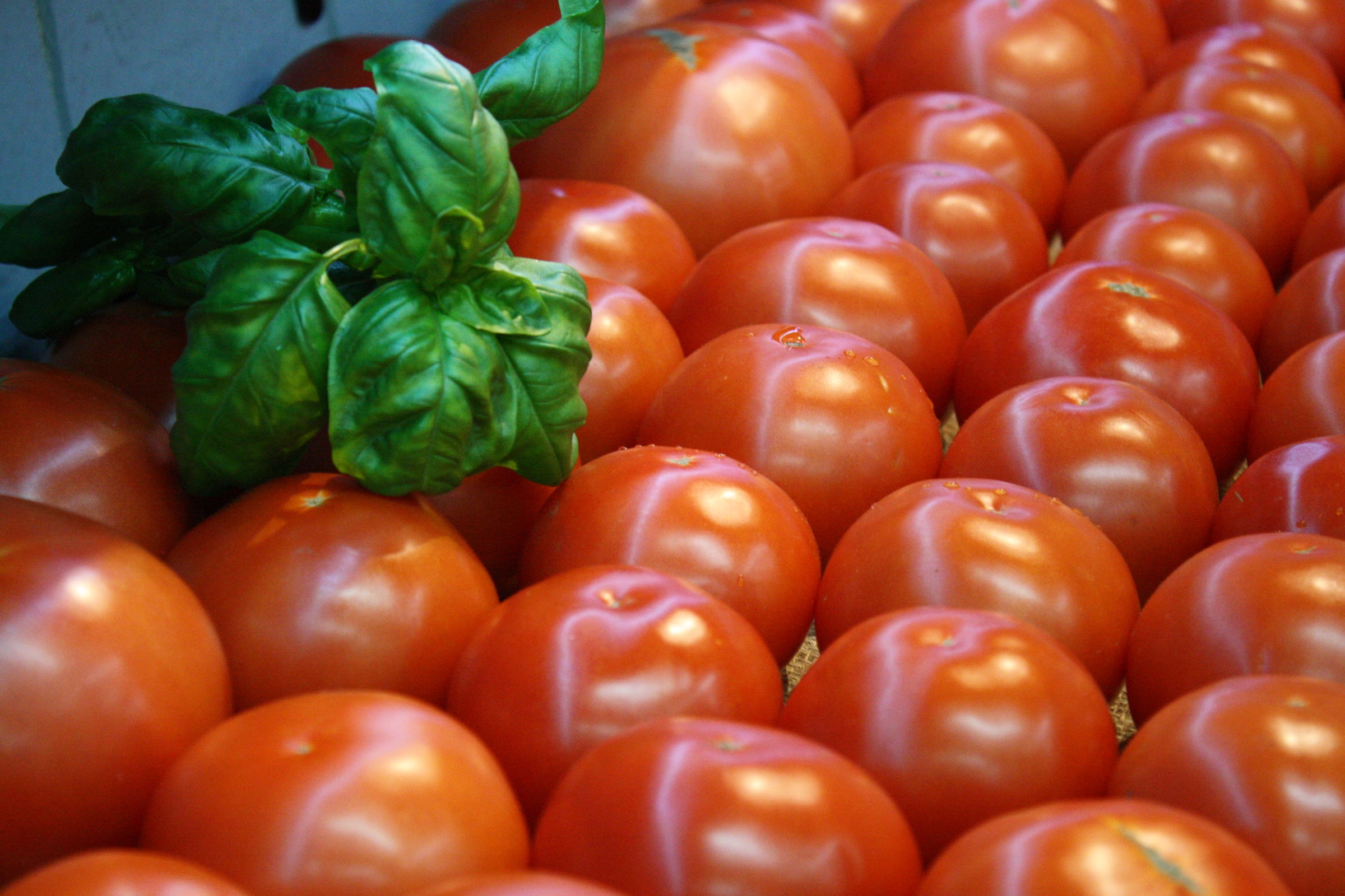 soft serve ice cream